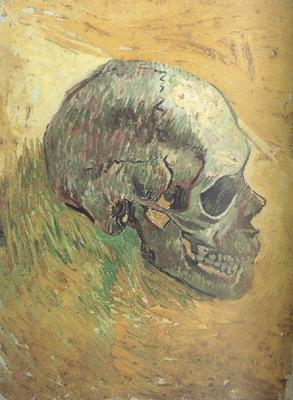 Vincent Van Gogh Skull (nn04) Germany oil painting art